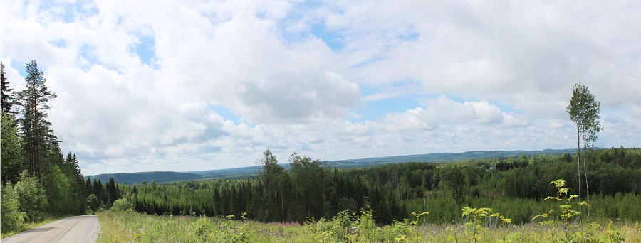 Panoraama harjulta pieni CR